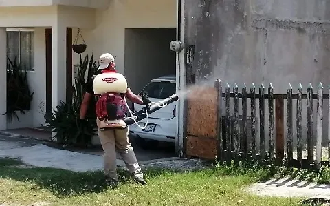 Dengue Afecta Fuertemente Colonias Vulnerables de Ciudad Madero