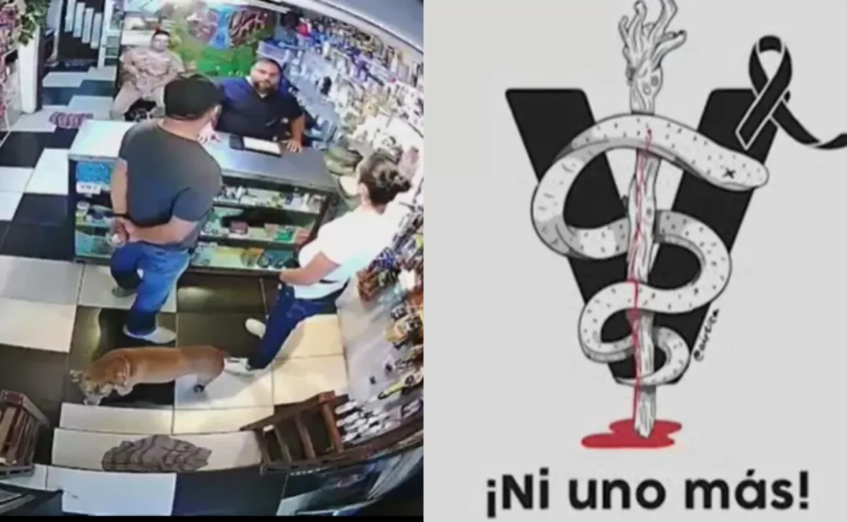 Veterinarios de Madero Se Unen a Protesta Nacional por Justicia para su Colega Asesinado