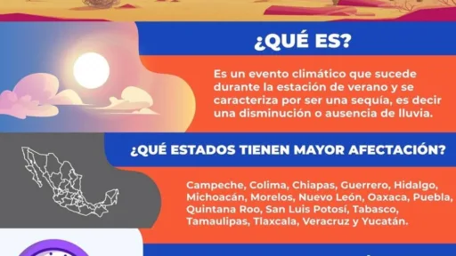 Canícula en Tamaulipas: ¿cuándo llegará y cómo prepararse ante el calor extremo?
