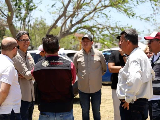 reforestación Ciudad Madero