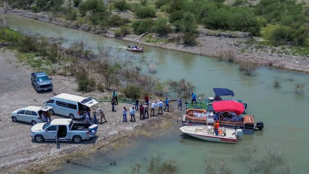 Tamaulipas siembra lobinas en presa Vicente Guerrero para pesca deportiva