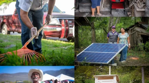 DIF Tamaulipas impulsa proyectos comunitarios para el cuidado del medio ambiente