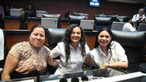 Reforma de Olga Sosa Protege y Conserva el Patrimonio Bibliográfico Indígena