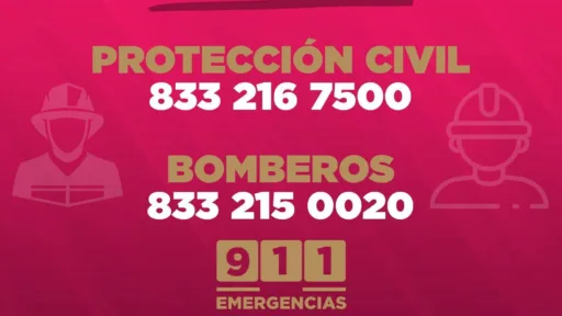 Precauciones por Avistamientos de Cocodrilos en Ciudad Madero