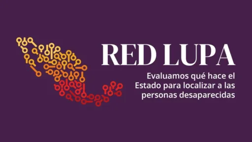Tamaulipas, segundo estado con más desapariciones en 2025 según RED LUPA