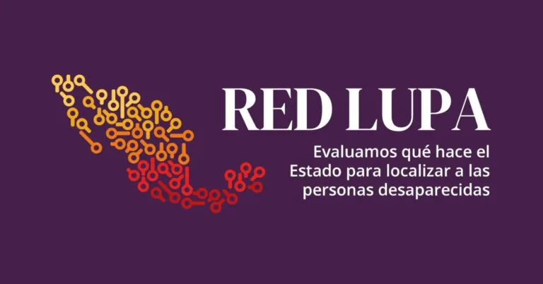 Tamaulipas, segundo estado con más desapariciones en 2025 según RED LUPA