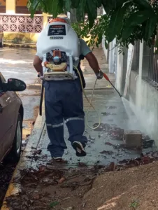 dengue