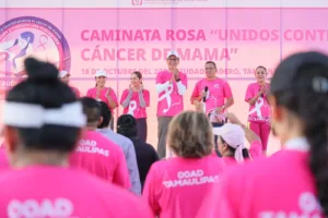Caminata Rosa