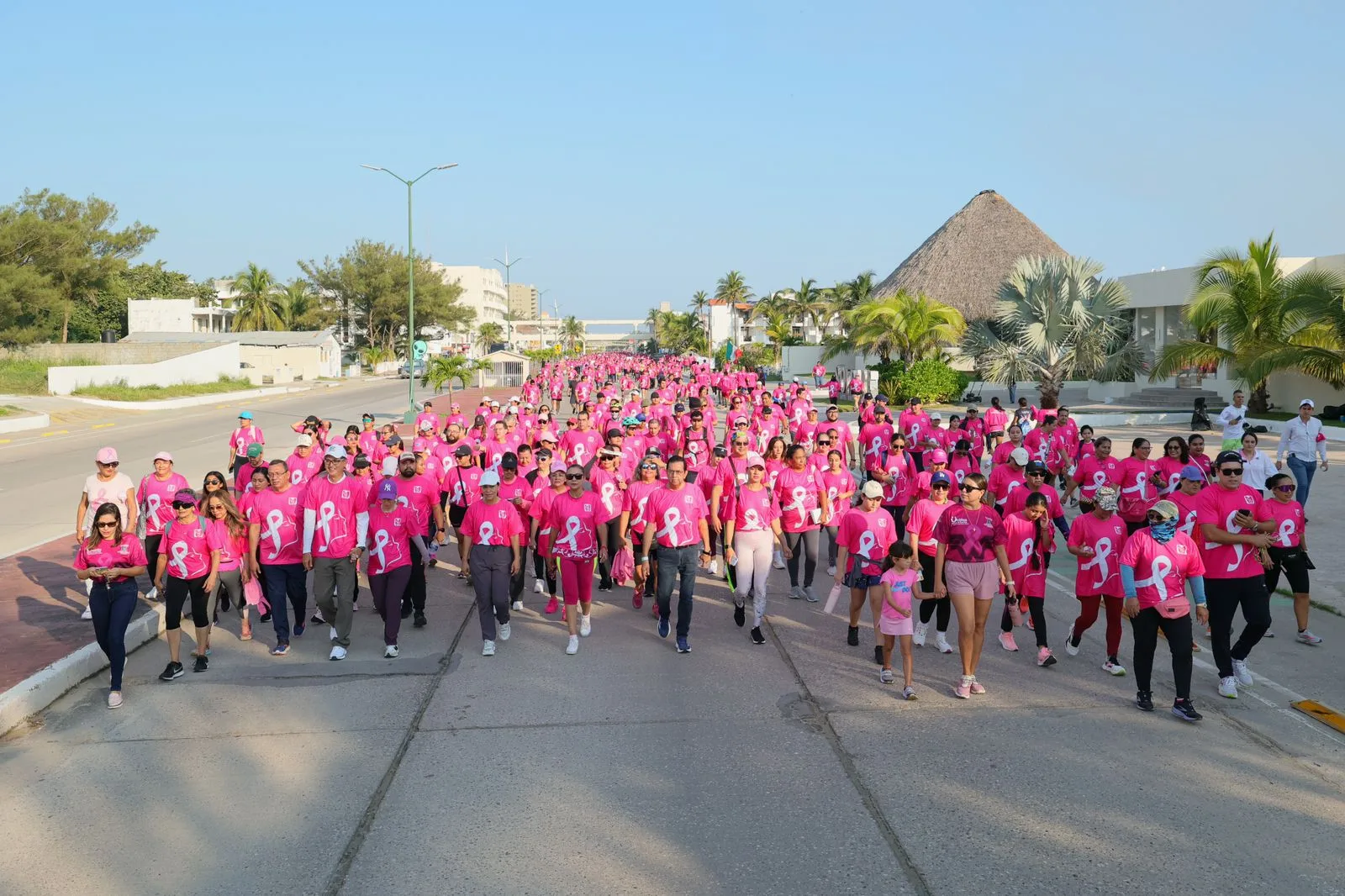 Caminata Rosa