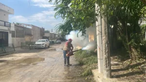 Dengue