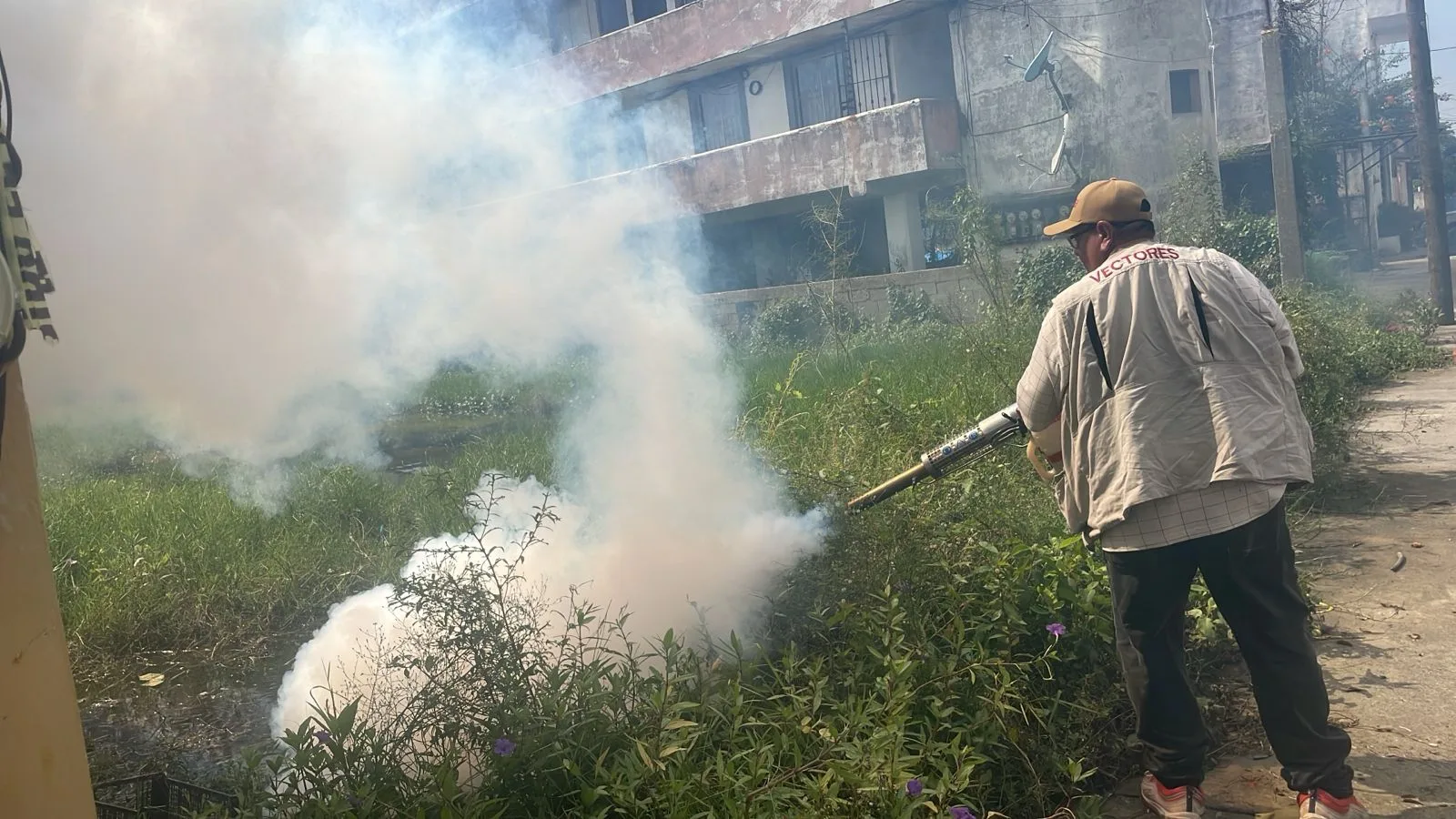 Dengue
