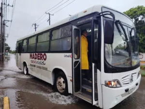 Transporte Gratuito