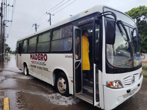 Transporte Gratuito