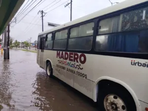 Transporte Gratuito