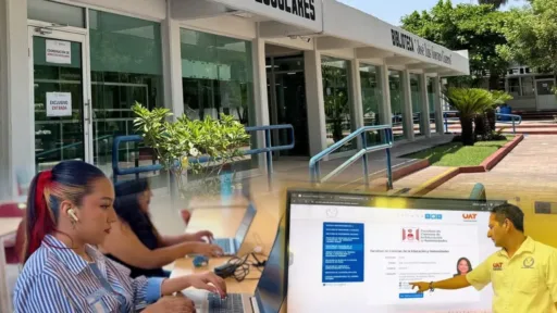 Licenciatura en Linea