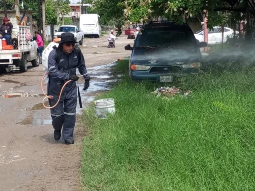 dengue