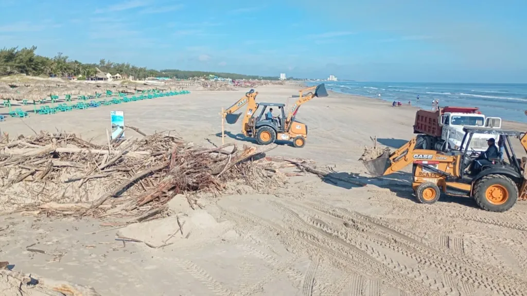 Limpieza de Playa Miramar