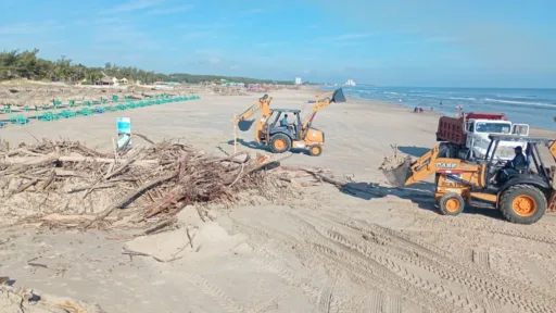 Limpieza de Playa Miramar