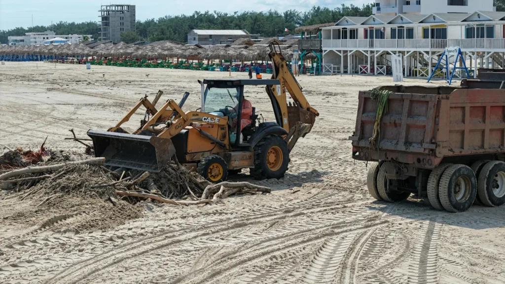 Limpieza de Playa Miramar
